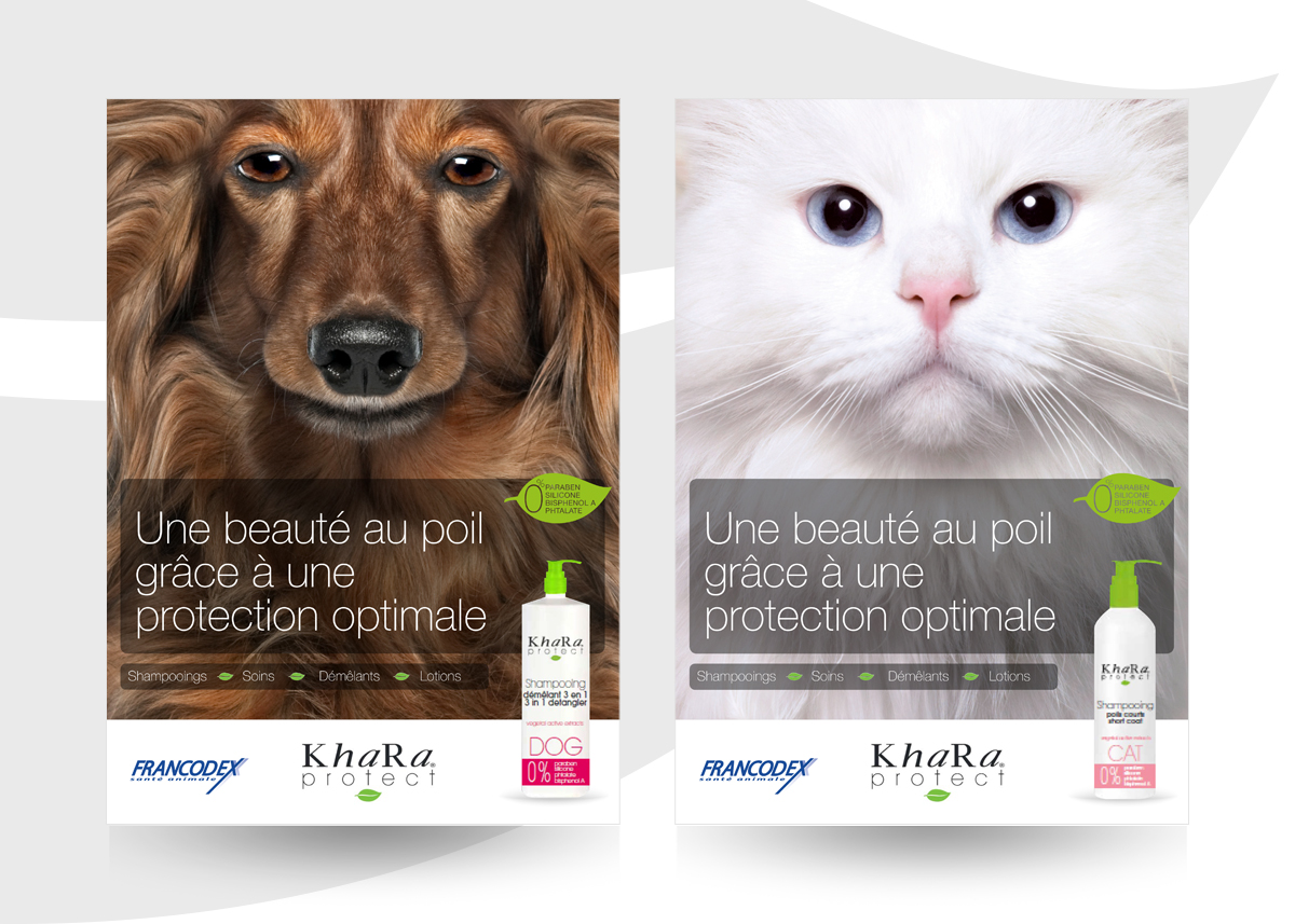 Projets d'affiches