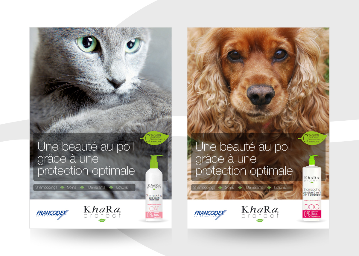Projets d'affiches
